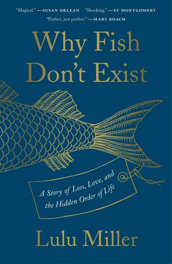 Why Fish Dont Exist: A Spiritual and Scientific Exploration of Chaos