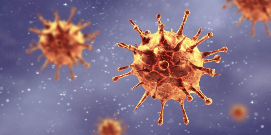 Covid-19 virus. Photo: Getty Images/iStockphoto