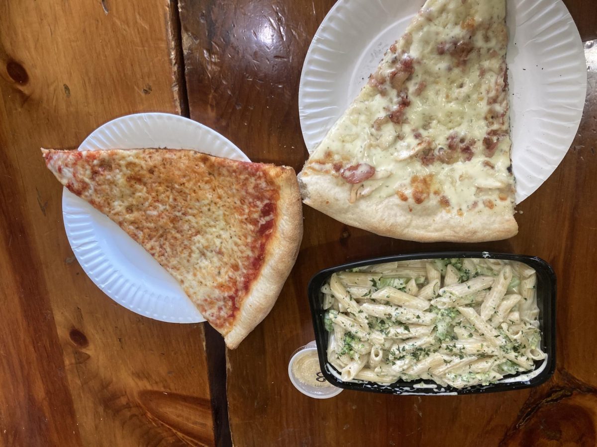 Piesanos pizza and pasta review