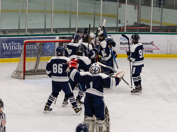 Seahorses celebrate a win